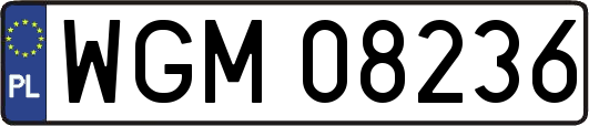 WGM08236