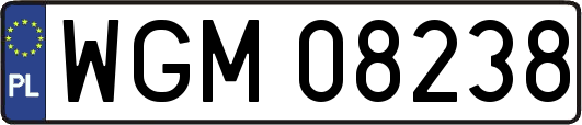 WGM08238