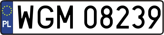 WGM08239
