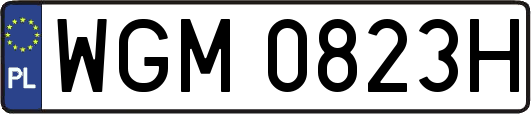 WGM0823H