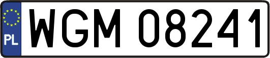 WGM08241