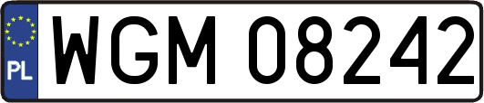 WGM08242