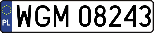 WGM08243