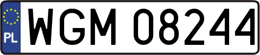 WGM08244