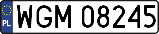 WGM08245