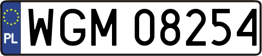 WGM08254