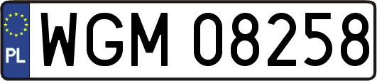 WGM08258