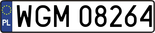 WGM08264