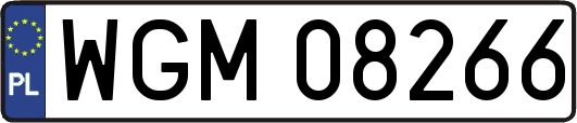 WGM08266