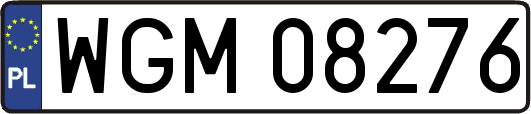 WGM08276