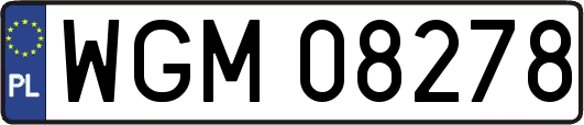 WGM08278