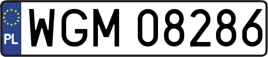 WGM08286