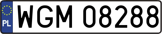 WGM08288