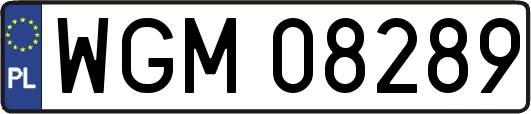 WGM08289