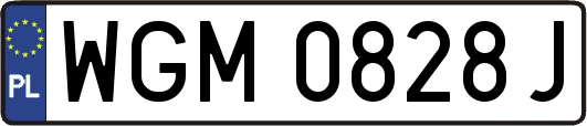 WGM0828J