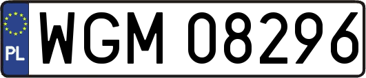 WGM08296