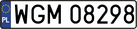 WGM08298