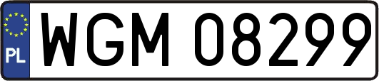 WGM08299
