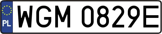 WGM0829E