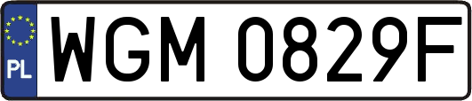 WGM0829F