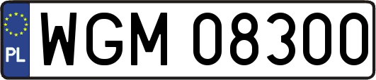 WGM08300