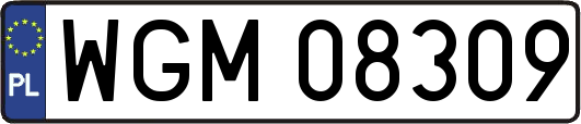 WGM08309