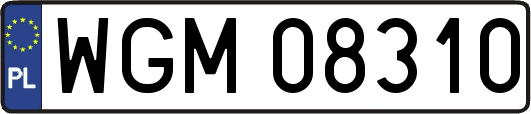 WGM08310