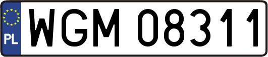 WGM08311