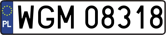 WGM08318