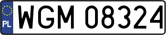WGM08324