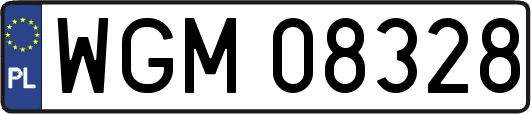 WGM08328