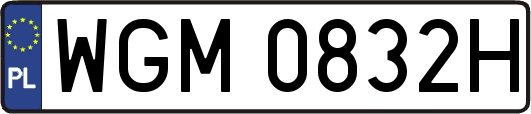 WGM0832H