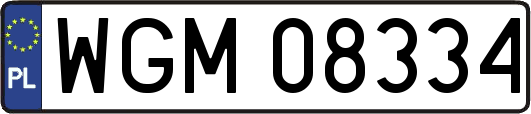 WGM08334
