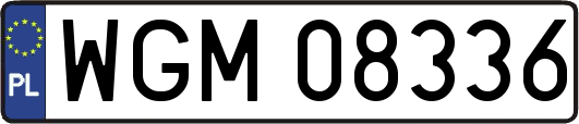 WGM08336