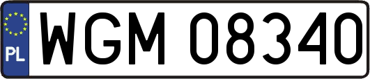 WGM08340