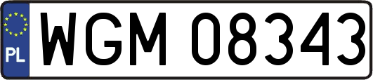 WGM08343