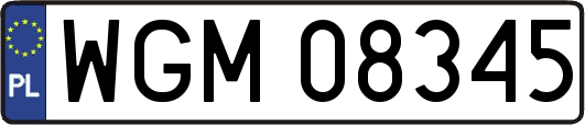WGM08345