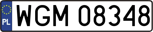 WGM08348