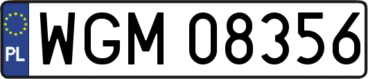 WGM08356