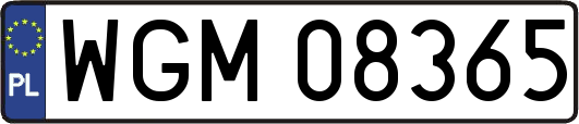 WGM08365
