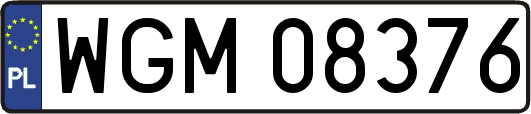 WGM08376