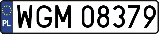 WGM08379
