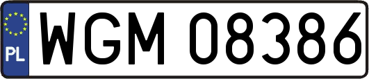 WGM08386