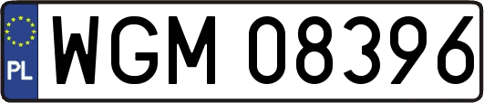 WGM08396