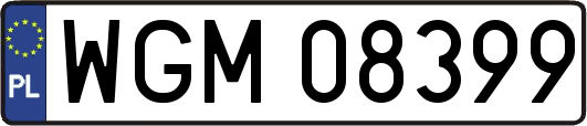 WGM08399