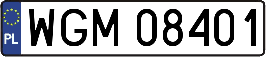 WGM08401