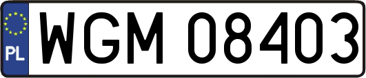 WGM08403