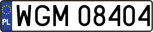 WGM08404