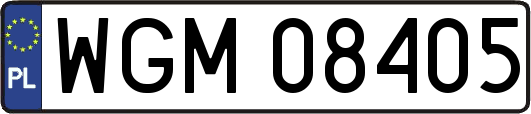 WGM08405