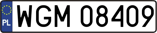 WGM08409